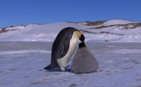 ����Խ�����İ��������4ƪ