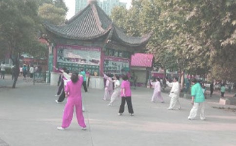 ���ڳ���������