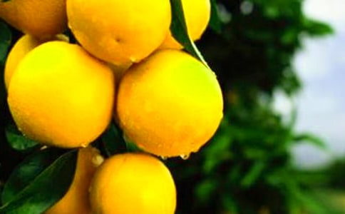 ���ӵ�����[����25ƪ]