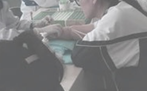 ��Ѫ������2ƪ