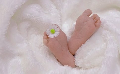 2022�������ļ��³������