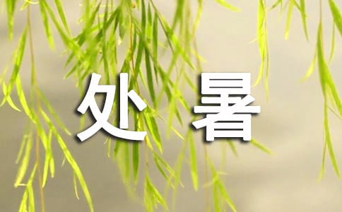 处暑后秋高气爽的优美句子热门