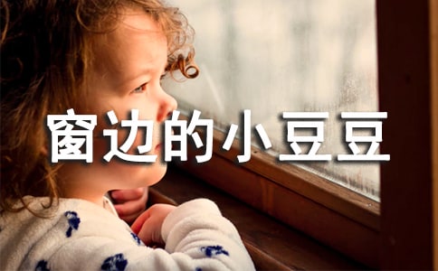 �������ߵ�С�������и�ʵ��(15ƪ)