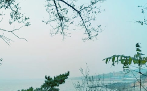 ����ʮ�������ľ���