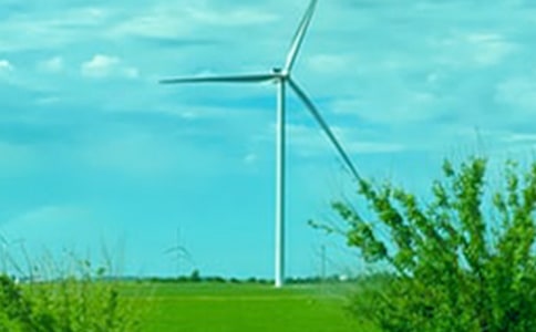 ǳǳ���ڴ�����