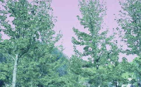 ������������������÷��ԭ�ķ��뼰����