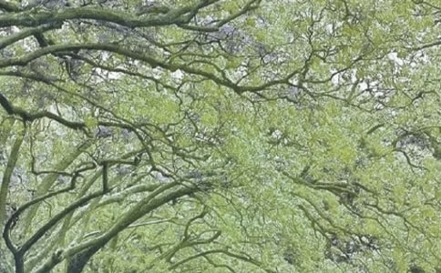 ���ڴ���������