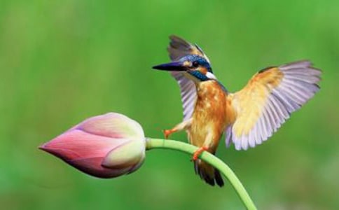 Сѧ���Ĵ���μ�