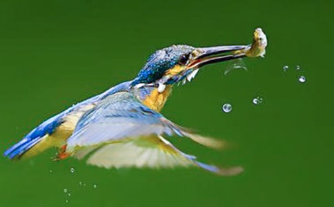 ���ڴ���̰�ģ����ܰ�ƪ