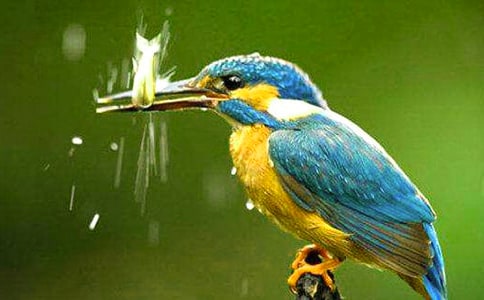 ����Ľ�ѧ���