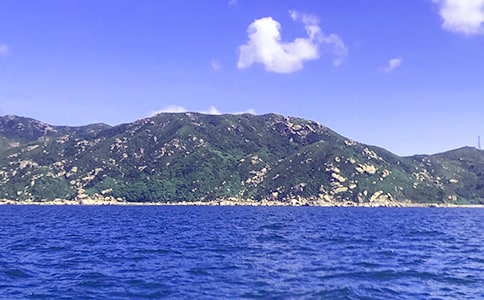 ��д�������ľ���