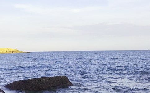 暑假去大海旅游的作文(精选31篇)