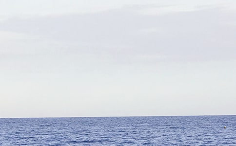 ����������_����������