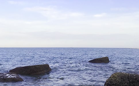 �Һʹ󺣵�'�����ִ�ʫ��