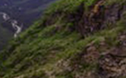 �����ڴ�ɽ���������