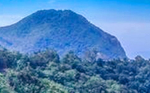 ��ɽ������