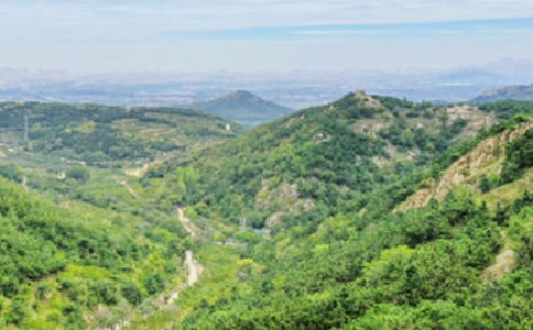 ��ɽ���������