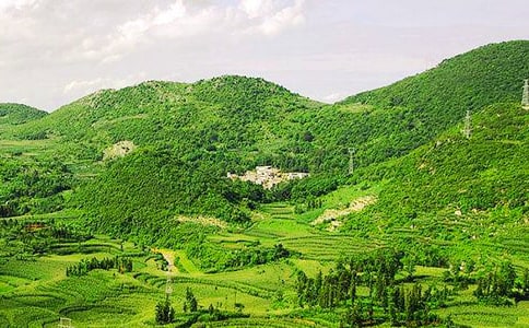 ����ԽԶ���Ĵ�ɽ������