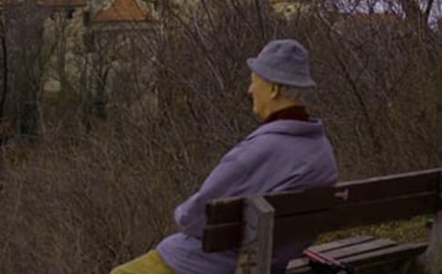 ���Ǻ�«�Ĵ���ɢ��