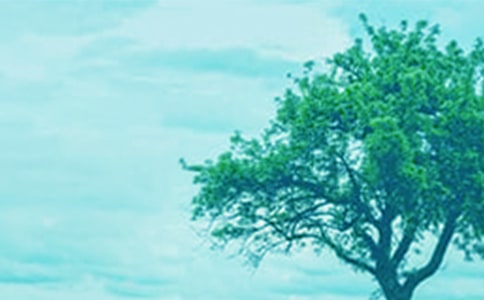 �����š�������������