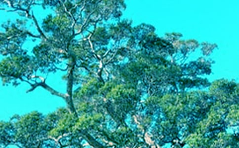 ������������[����15ƪ]