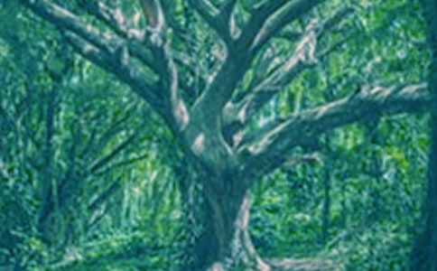 手工折纸大树怎么叠