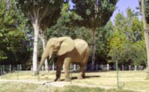 �������ʻ�ͼƬ��ȫ