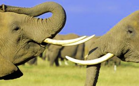 ��Ȥ�Ĵ���ͼд�����ģ�ͨ��13ƪ��