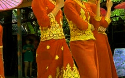 ���ܴ�������ģ�ͨ��33ƪ��