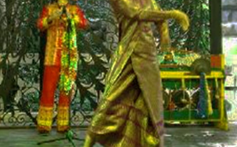 �����š�����������������5ƪ