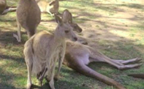 ����������[��]