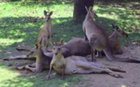 �����������ľ�Ʒ��8ƪ��