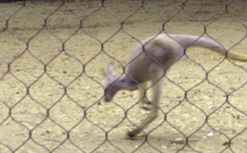 ������������ģ���ѡ23ƪ��