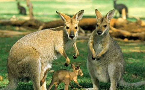 �����������ľ�Ʒ(6ƪ)