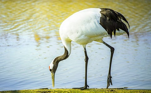 ���������ġ�ʵ�á�