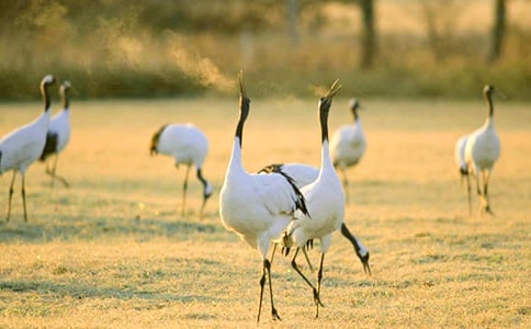 ����������