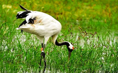 �������ĵ����ס��̰�