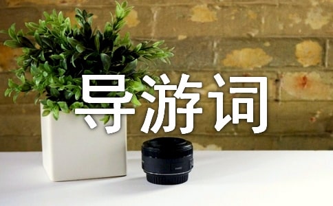 ��ʩ���ﵼ�δ�(15ƪ)