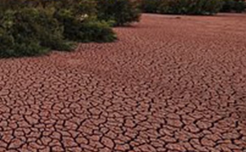 ���ϼ�����������������