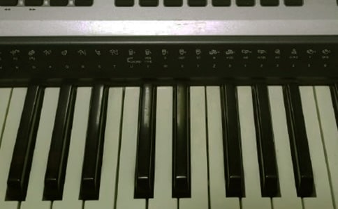 ���ţ�����������