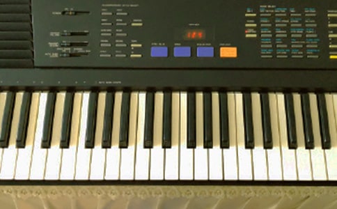 �ҵĵ��������ġ��š�