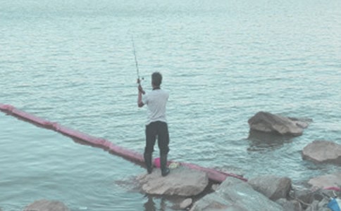 小班社会教案之小猫钓鱼