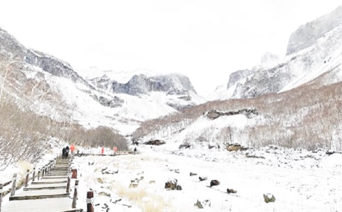 ������ѩ�İ�