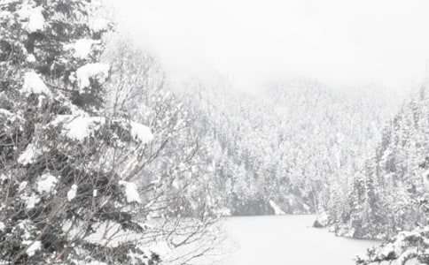 ������ʳ��������Щע������