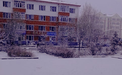 ����ů������İ�510��