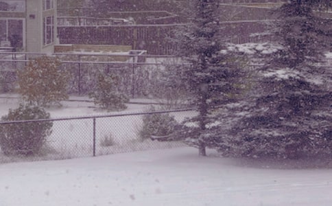 ����ů�ľ���