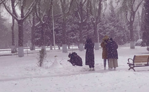 ������ϼΨ���İ�