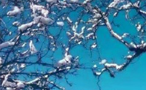 �����ˮ�ľ���