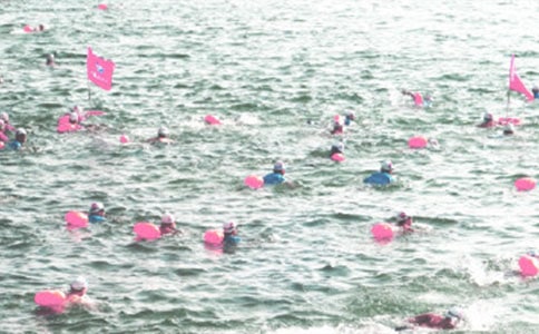 [��ѡ]��Ӿ������