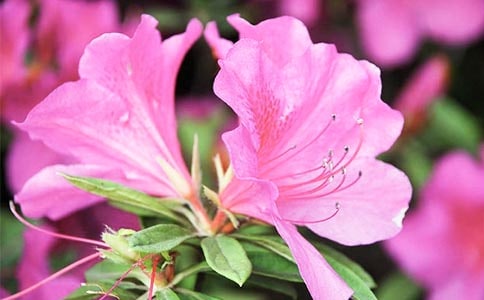 �۲�ž黨�ռ�150�֣���ѡ8ƪ��